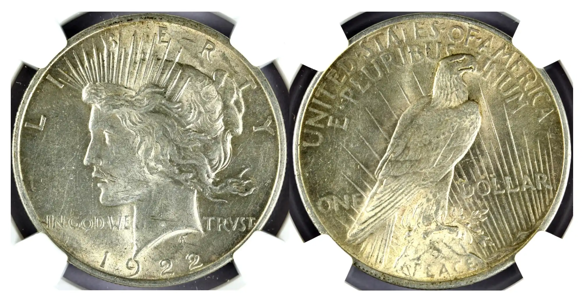 the picture of 1922 Liberty Silver Dollar. The image of Liberty (Lady Liberty) on the obverse was inspired by his wife, Teresa de Franchisi.